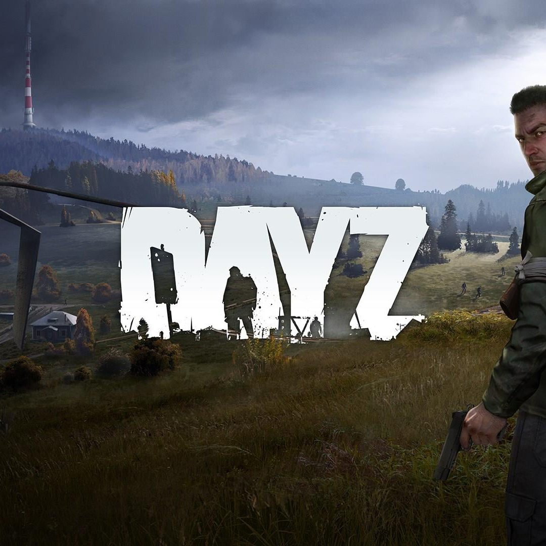 что скачать dayz или rust фото 97